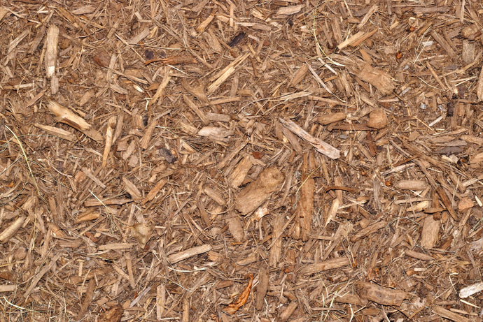 Red Oak Mulch